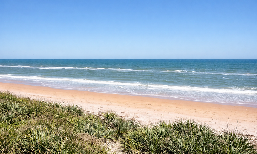 Flagler County_edited.png
